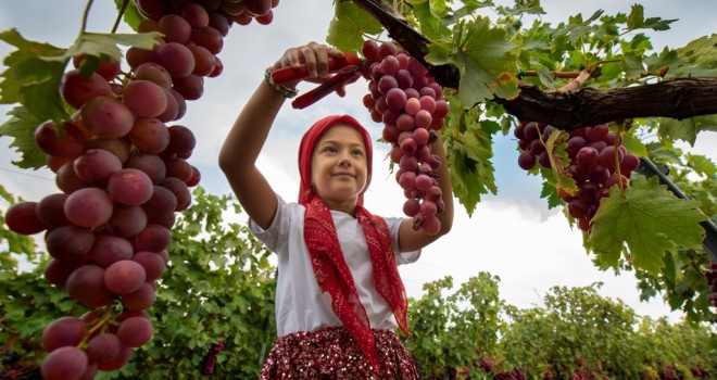 Dereceye Giren Fotoğraflar Belli Oldu