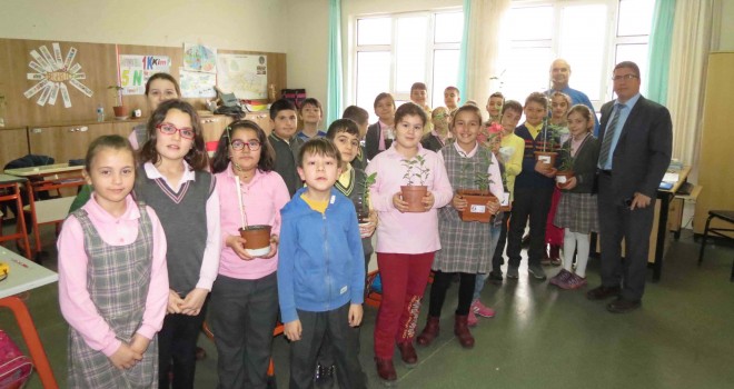 MEŞE PALAMUDU YETİŞTİRDİLER