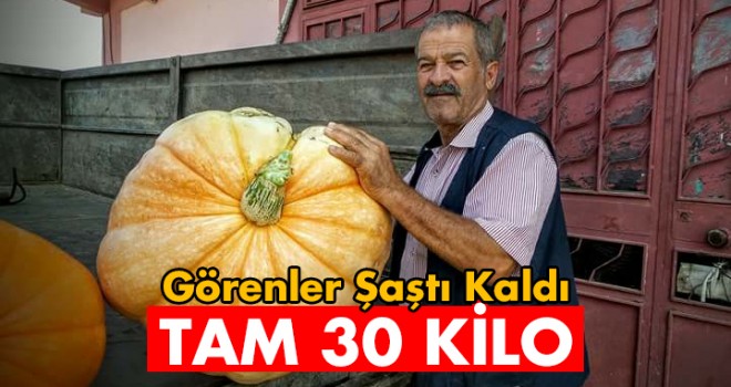 30 Kiloluk Kabak Yetiştirdi