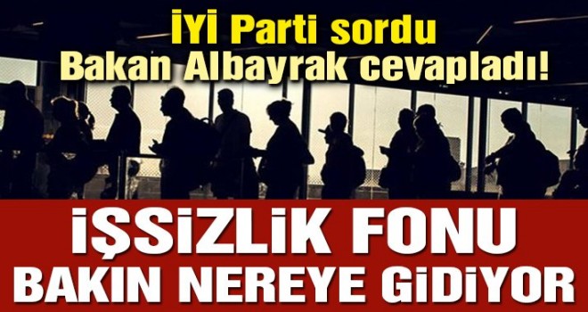 İşsizlik fonu, işsize gitmiyor!