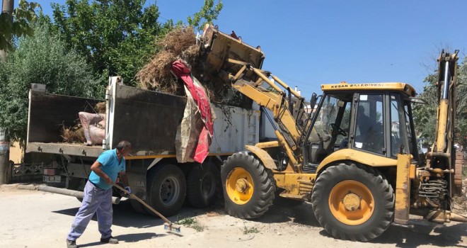 Yazlık Yerlerde Çalışma Yapıldı