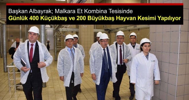 Başkan Albayrak, Malkara Et Kombina Tesisine Ziyaret!