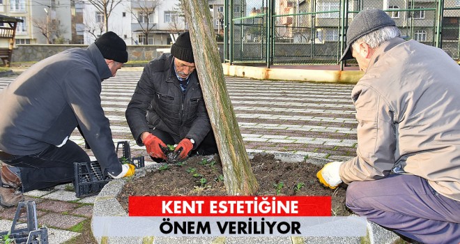Malkara Kış Çiçekleriyle Ayrı Bir Güzel Olacak