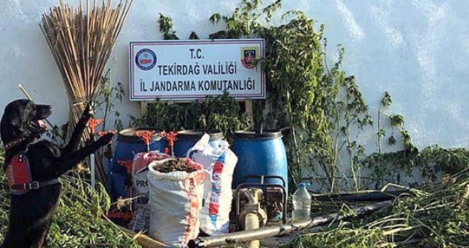 Hayrabolu’da Uyuşturucuya Geçit Yok!