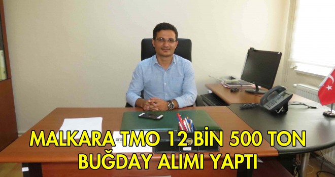 TMO, Buğday Alımlarına Devam Ediyor
