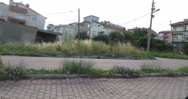 Yol Kenarlarını Yabani Otlar Sardı