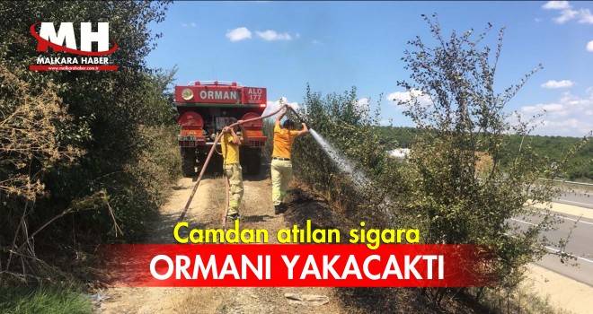 Yangın Ormana Sıçramadan Söndürüldü