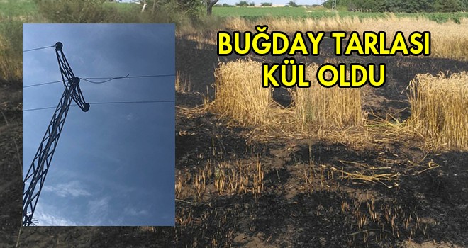 Elektrik Tellerinden Çıkan Kıvılcım Tarlayı Yaktı