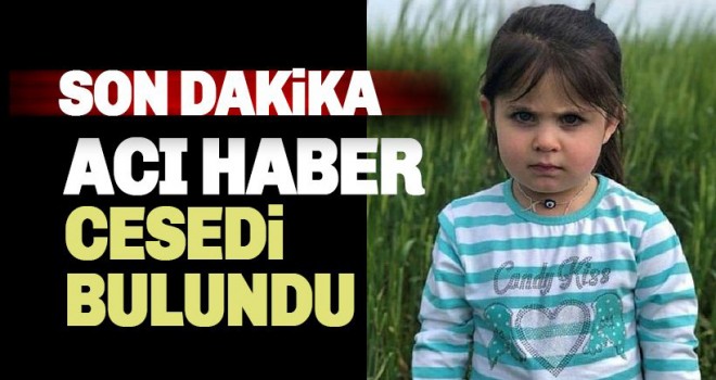Son Dakika! Ağrı'da Kaybolan 4 Yaşındaki Leyla Aydemir, Köyde Ölü Bulundu