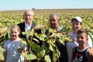 Kılıçdaroğlu: Ayçiçeği taban fiyatı ton başına 16 bin lira olmalı